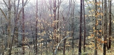 Potential Home Site View of Mountain Creek