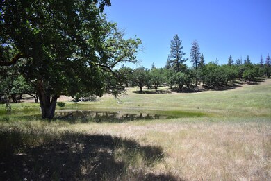 477 Kellogg Gulch Rd, Hayfork, CA 96041 - photo 2