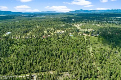 NKA E Forest View Dr, Athol, ID 83801 - photo 4