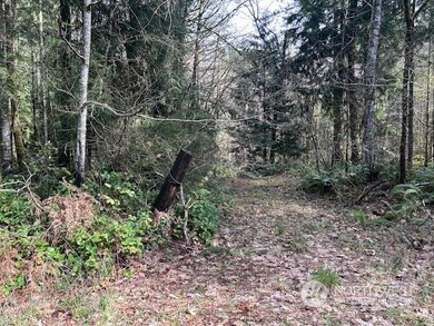 0 Harmon Rd unit NWM2211135, Adna, WA 98522 - photo 7