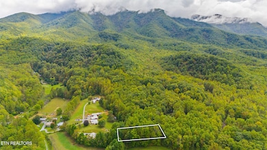 dji_20250930144936_0219_d_line