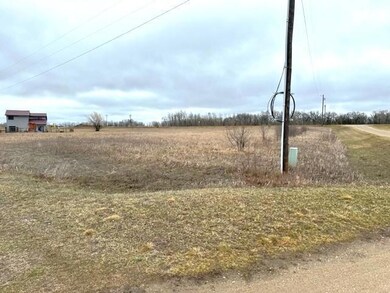 TBD Minnesota 11, Badger, MN 56751 - photo 5