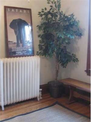 103 Belmont St, Cambridge, MA 02138 - photo 3