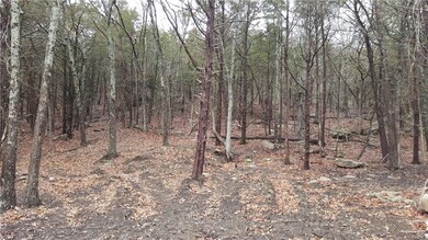 0 Willoughby Lot B Rd unit 1011775, Fayetteville, AR 72701 - photo 6