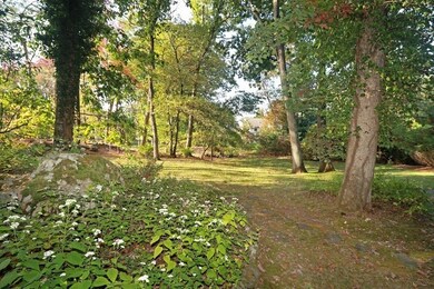 203 Country Way, Needham, MA 02492 - photo 6