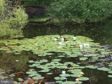 92 English Muffin Way, Berkeley Springs, WV 25411 - photo 2