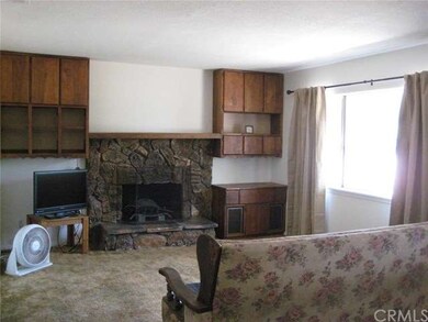 Wood burning fireplace and storage in the living room.