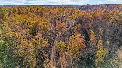DJI_20241105111523_0015_D