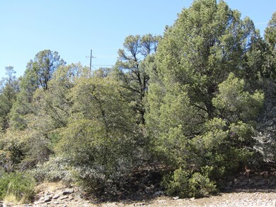 1112 N Yodel Cir, Payson, AZ 85541 - photo 4