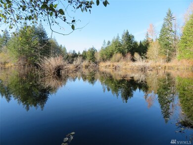 0 Wayne Rd W, Seabeck, WA 98380 - photo 6