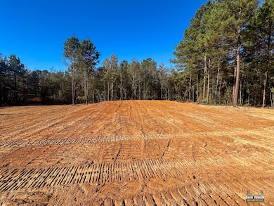 12068 Fm 130, Hughes Springs, TX 75656 - photo 2