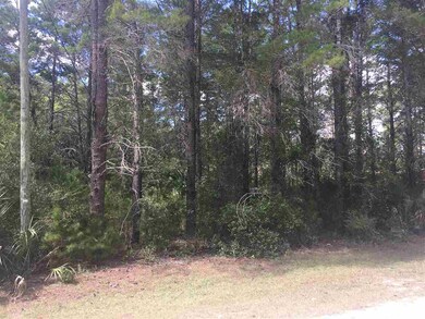 0 Sea Horse Dr 2nd unit 1 311804, Perry, FL 32348 - photo 3