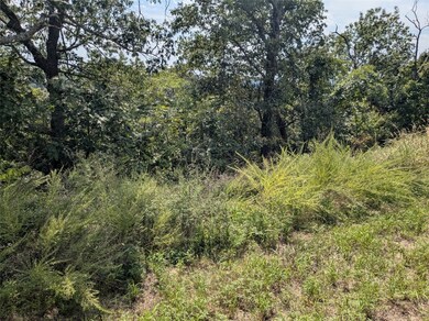 25 Cypress Point Ln, Eureka Springs, AR 72631 - photo 7