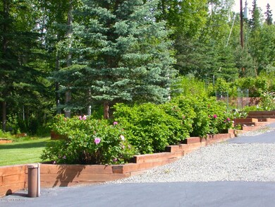 Landscaped Yard