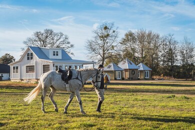 TBD Union Academy Rd, Salley, SC 29137 - photo 4