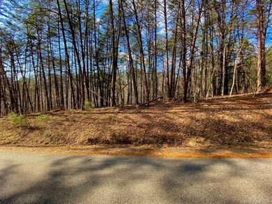 LOT 64 Wolf River Ln, Lake Lure, NC 28746 - photo 2