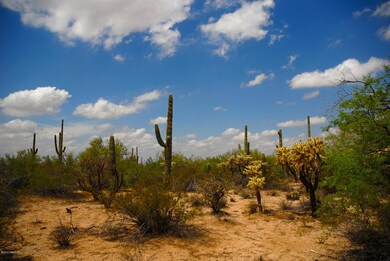 XXX Gas Line Rd unit 5AC, Marana, AZ 85658 - photo 3