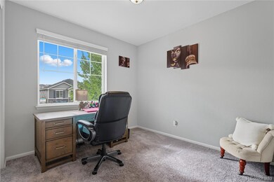 5740 Berry Ridge Way, Castle Rock, CO 80104 - photo 5