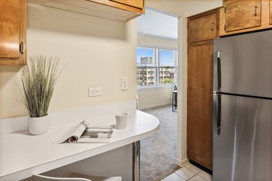 1101 Grove St unit 8C, Evanston, IL 60201 - photo 6