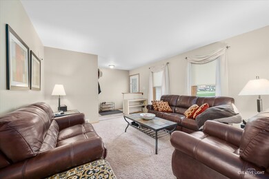11S442 Walter Ln, Naperville, IL 60564 - photo 3