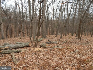 0 Pioneer Trail unit WVMO116368, Great Cacapon, WV 25422 - photo 7