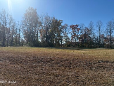 136 Bridgewater South Dr, Bath, NC 27808 - photo 4