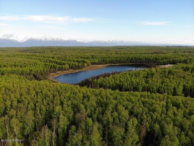 9966 W Aircraft Ct, Wasilla, AK 99623 - photo 2