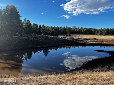 475 N Double A Ranch Rd, Williams, AZ 86046 - photo 3