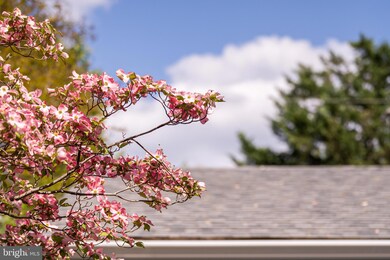 13021 Maple View Ln, Fairfax, VA 22033 - photo 4