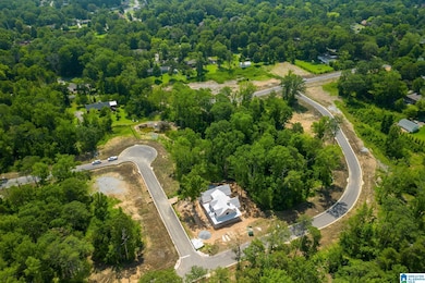 3333 Chandler Way, Hoover, AL 35226 - photo 3