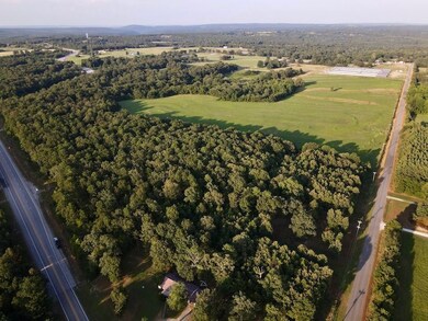 240 Oak Grove Rd unit LotWP001, Concord, AR 72523 - photo 2