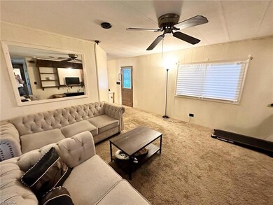 Carpeted living room featuring ceiling fan
