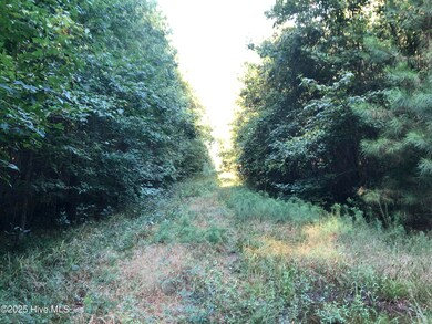 0 Plantation Rd, Trenton, NC 28585 - photo 6