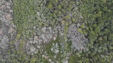 6703 Buchan Rd, Pembroke, GA 31321 - photo 5