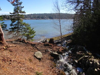 Haible photos SEal cove 018