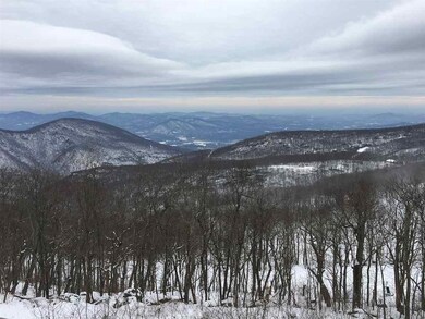 1459 Ledges Condos, Wintergreen Resort, VA 22967 - photo 5