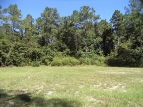 XX Steeple Chase Ln, Crawfordville, FL 32327 - photo 4