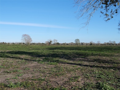 011 County Road 158, Alvin, TX 77511 - photo 4