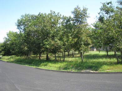 Ph1 Lot 15 Overton, Kimberling City, MO 65686 - photo 6