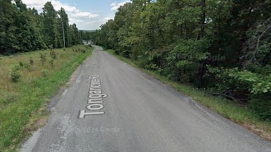 Camas Trace, Cherokee Village, AR 72529 - photo 3