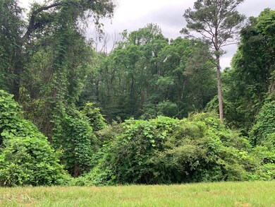 . Fergson Rd Barber Rd Crooked Creek Rd, Silver Creek, MS 39663 - photo 5