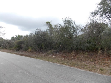 117 Dorchester Rd, Lake Placid, FL 33852 - photo 3