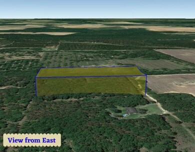 0000 Beulah Ln, Baconton, GA 31716 - photo 7