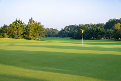 347 W Firethorn Cir unit Lot 45, Inlet Beach, FL 32413 - photo 4