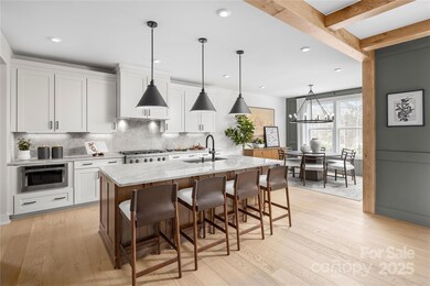 5212 Mint Harbor Way unit 283, Charlotte, NC 28269 - photo 7