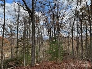 Lot 6 Osprey Mountain Way, Webster, NC 28779 - photo 7