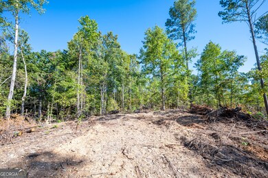 3785 Hwy 140 NE, Rydal, GA 30171 - photo 4