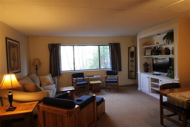 23 Black Bear Way unit 211, Waterville Valley, NH 03215 - photo 4