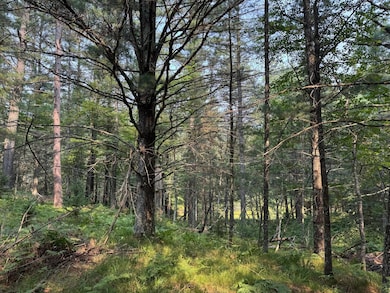 309/310 Deerwood Rd, Minocqua, WI 54548 - photo 5