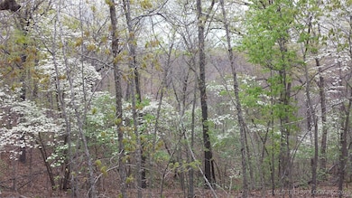 65300 Blackhawk Ridge Rd, Proctor, OK 74464 - photo 2